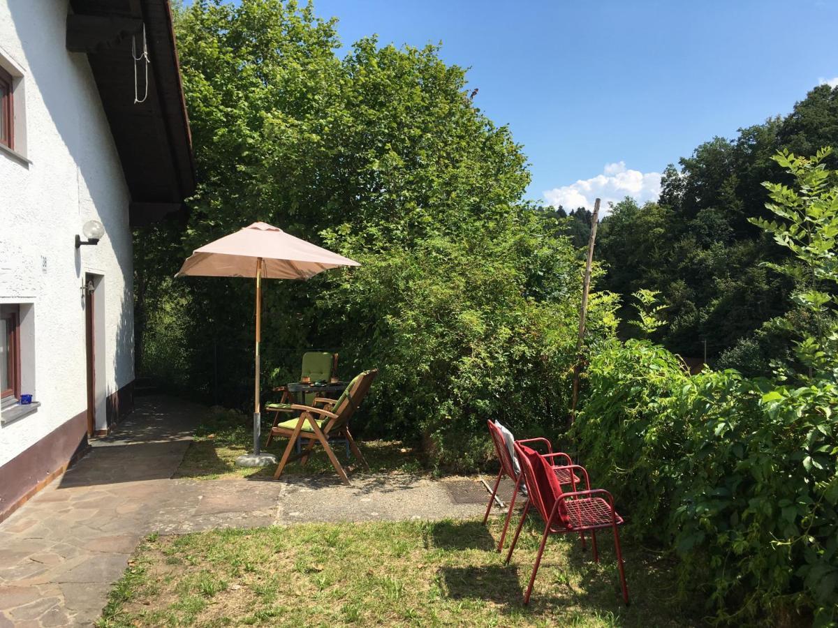 Burgruine Schoellnstein Iggensbach Экстерьер фото